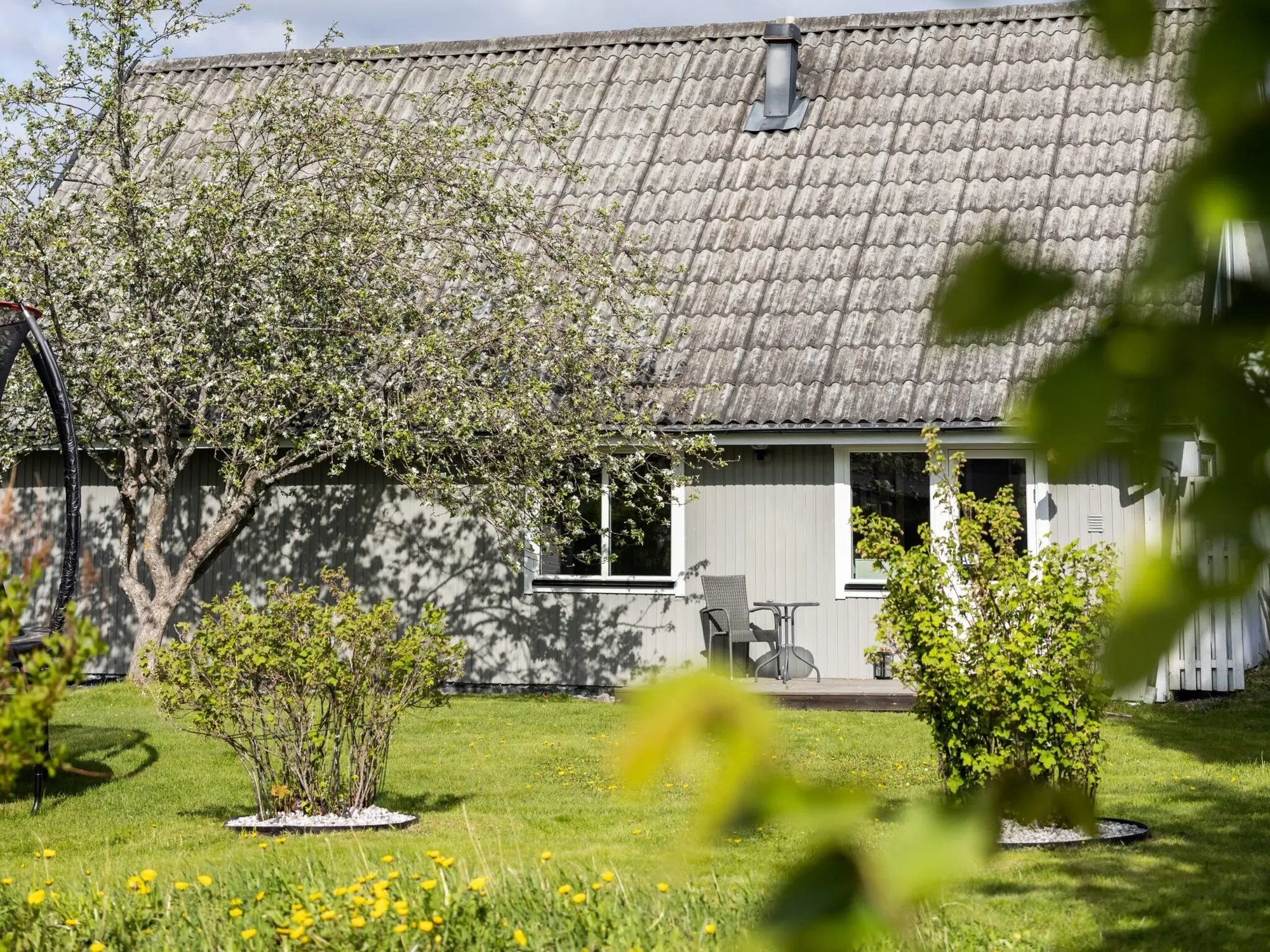 Baksida av villa från 1973 i Sundsvall med nya vita 3-glasfönster från Mockfjärds Prima-serien, omgiven av grönskande trädgård med blommande träd försommar.