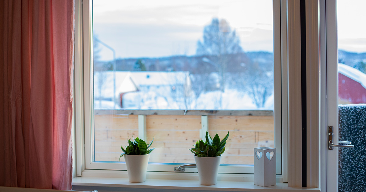 Fönster med utsikt över snötäckt landskap och växter i fönsterkarmen.