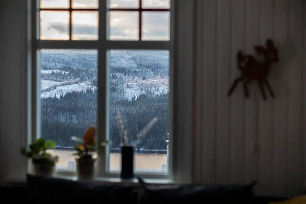 Utsikt genom ett vitt fönster med röda spröjs över ett vinterlandskap med sjö och snötäckta skogsklädda berg i Jämtland, med krukväxter på fönsterbrädan.
