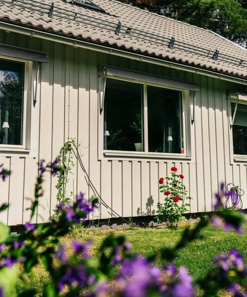Närbild på fasad av ljusgrå villa med öppnade vita Prima-fönster från Mockfjärds, röda rosor och lila blommor i förgrunden.
