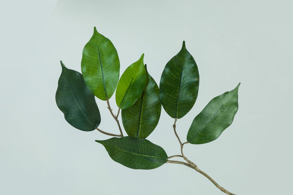 Tonat solskyddsglas med svag grön ton som dämpar ljus och värmeinsläpp.