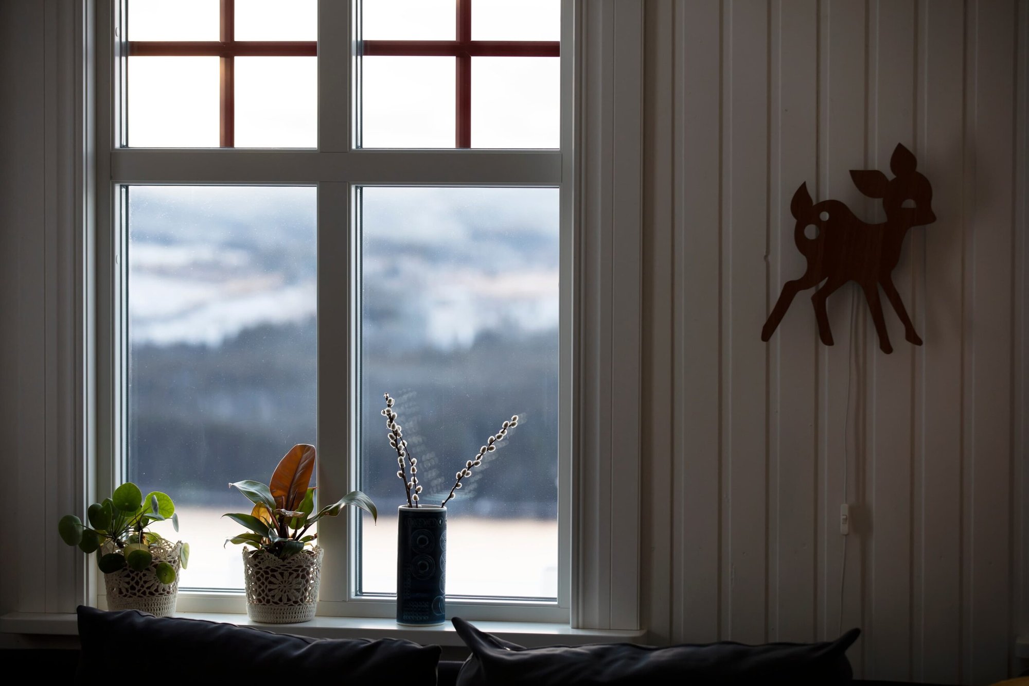 Fönster med utsikt över landskap, med växter på fönsterbräda.