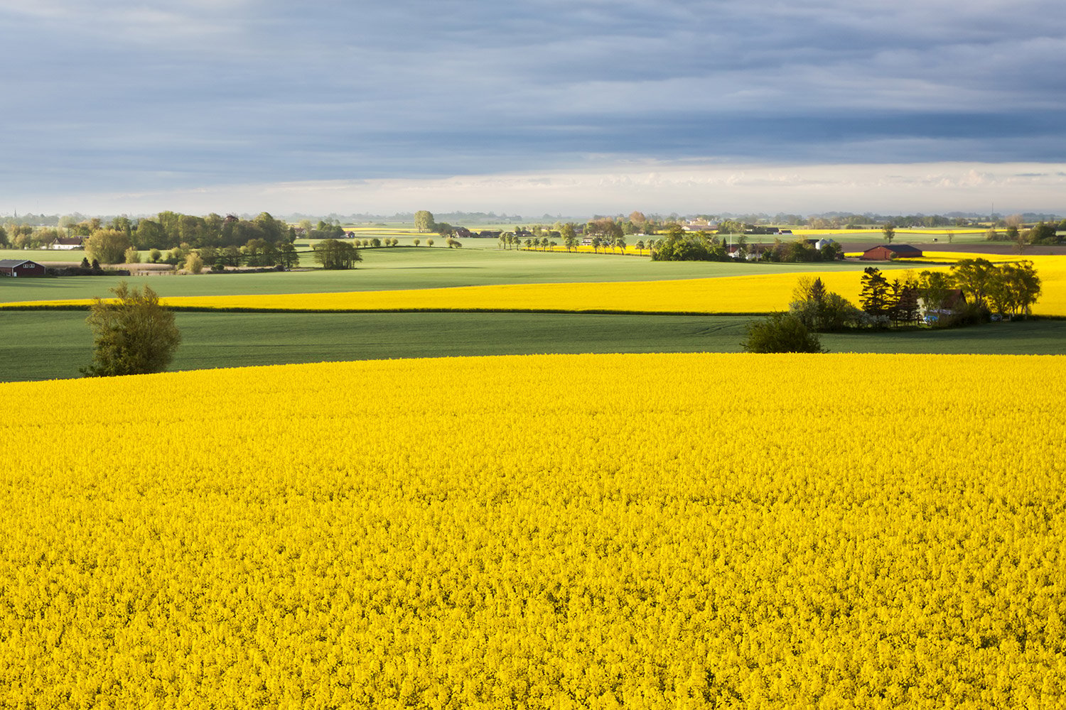mockfjards_skanelan_1500px