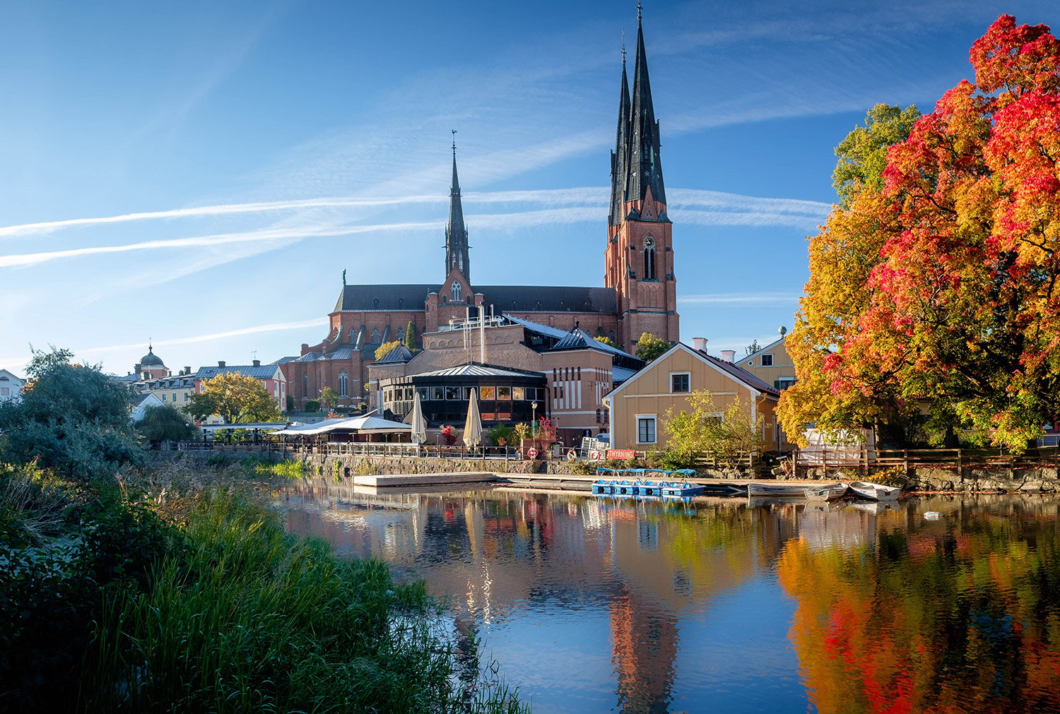 mockfjards_uppsala_1500px_no-alt