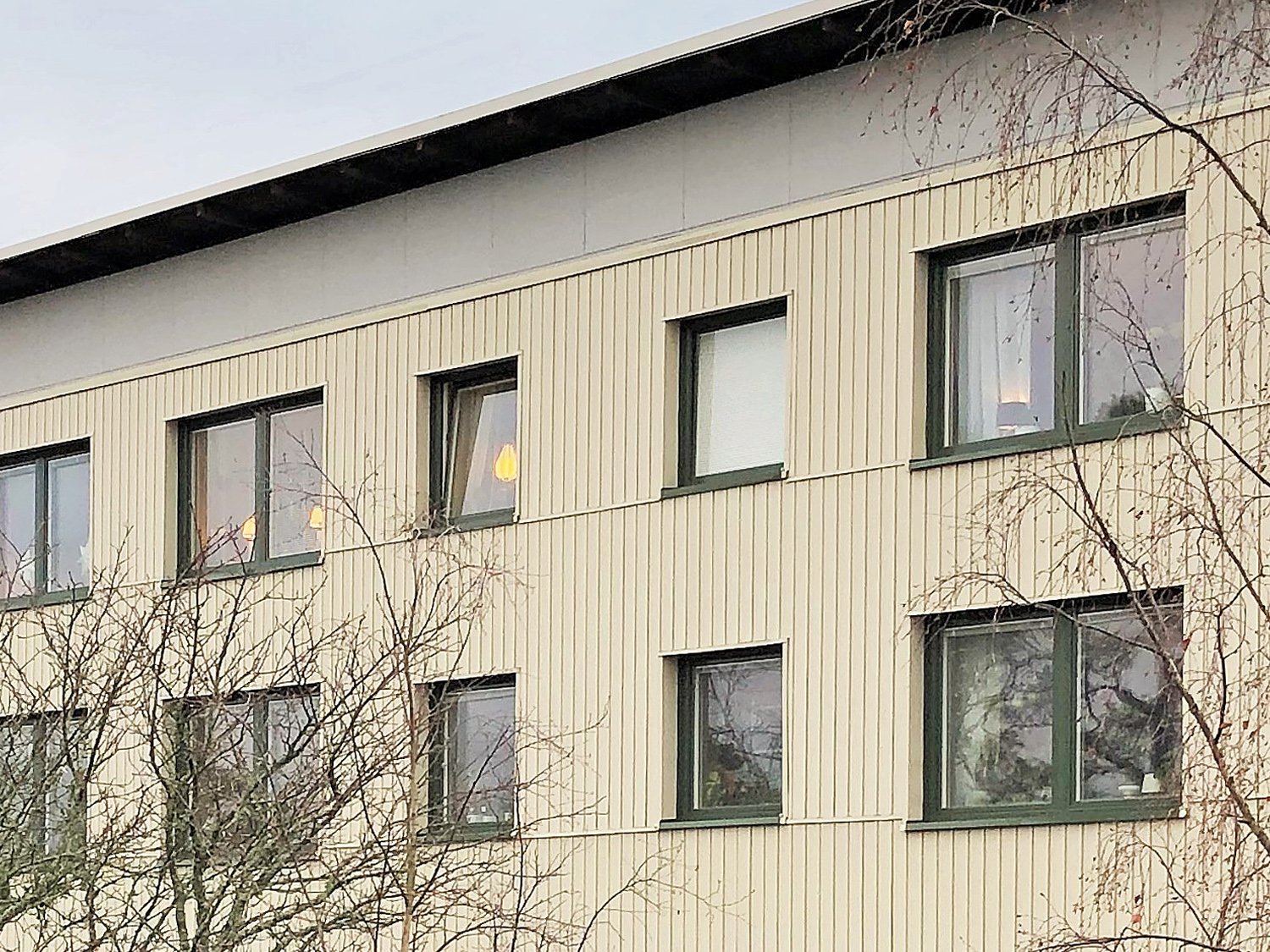 Närbild på nybytta fönster med mörkgröna karmar på ljus träpanelfasad – storskaligt fönsterbyte av ca 600 fönster utfört av Mockfjärds.